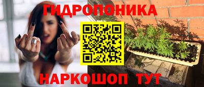 спайс Будённовск