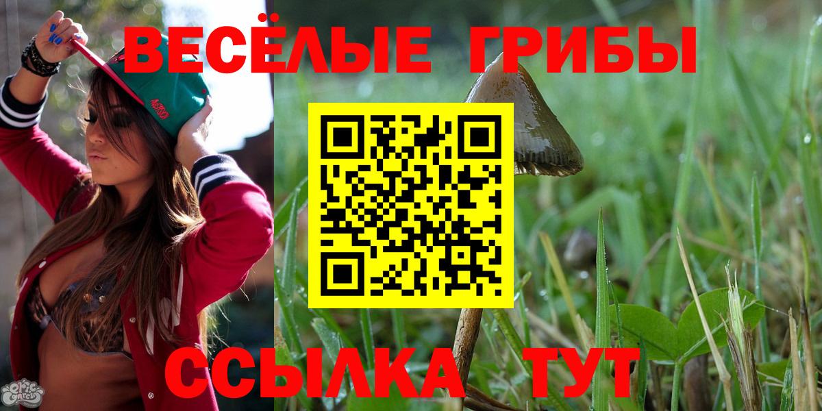 где можно купить наркотик  Вход с VPN  Аксай  Псилоцибиновые грибы Magic Shrooms 